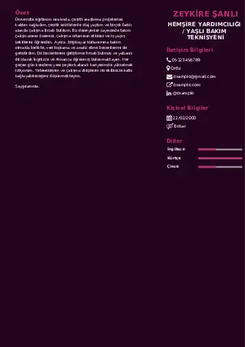 Hasta ve Yaşlı Bakım Elemanı Cv Örnekleri cv indir